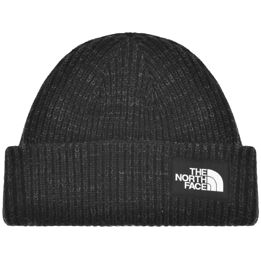 The north face beanie online